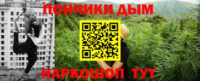 индика Боровичи