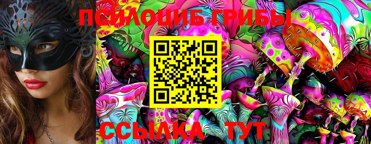Галлюциногенные грибы прущие грибы  Вход с VPN  магазин  наркотиков  Бердск 